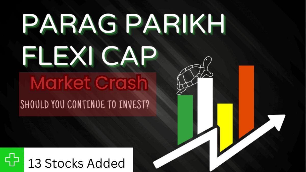 Parag Parikh Flexicap's Top 13 Stock Picks